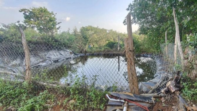 Vụ phát hiện thi thể bé gái 2 ngày tuổi dưới ao ở Hải Phòng, mẹ ruột có thể đối diện khung hình phạt nào?