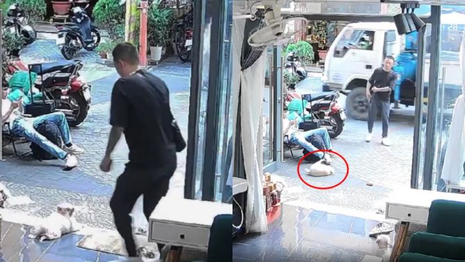 Danh tính người đàn ông đá chó cảnh trước cửa tiệm spa ở Đà Nẵng, camera ghi lại toàn bộ diễn biến sự việc