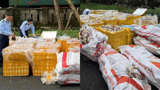 Hà Tĩnh: Phát hiện xe tải chở hơn 2,6 tấn nội tạng, xương động vật không rõ nguồn gốc