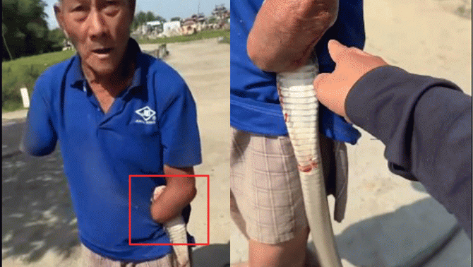 Cụ ông cụt 2 tay bắt rắn: Gia đình hé lộ điều bất ngờ về cụ ông, người trong nghề đưa ra cảnh báo
