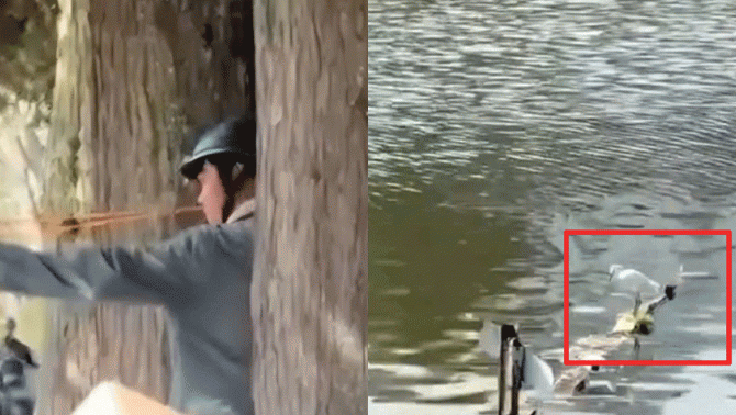 Danh tính thanh niên dùng ná cao su bắn chim giữa phố Đà Lạt, hành hung 1 phóng viên khi bị nhắc nhở