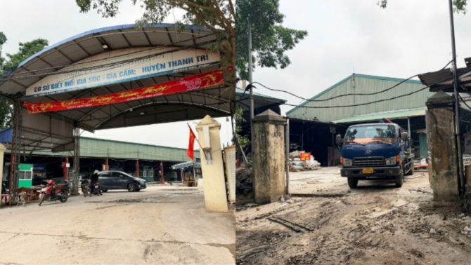 Lò mổ lợn bệnh tiêu thụ khắp trường học ở Hà Nội: Nhân viên tiết lộ thông tin gây ngỡ ngàng