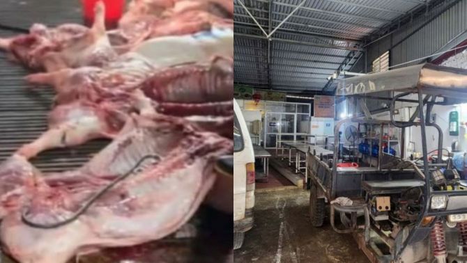 Vụ 300 tấn thịt lợn bệnh tràn vào trường học: Công ty Suất ăn Công nghiệp Hà Nội lên tiếng kêu oan