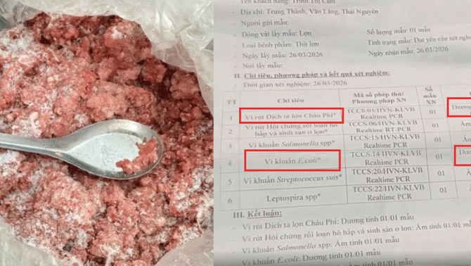 Phụ huynh chủ động mang mẫu thịt lợn của trường đi xét nghiệm nhận kết quả lợn nhiễm bệnh: Phản ứng của nhà trường?