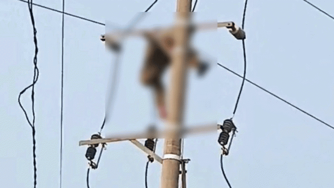 Nghệ An: Người dân sững sờ khi thấy thi thể nam sinh lớp 8 mắc kẹt trên cột điện, nguồn cơn vụ việc?