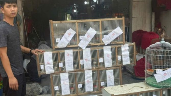 Khởi tố chủ cơ sở nuôi nhốt 20 cá thể chim quý hiếm trái phép để kinh doanh, từng vi phạm trước đó