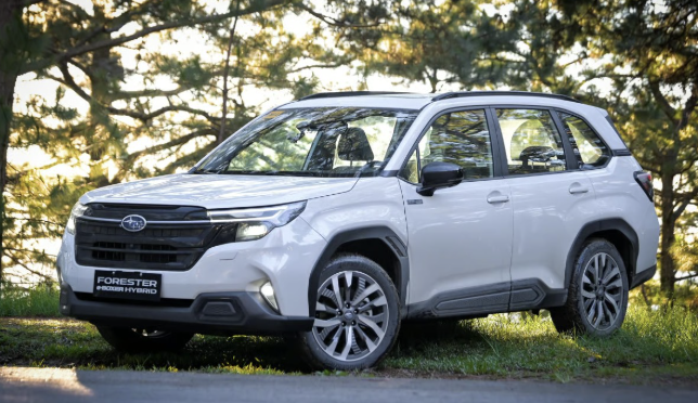 Subaru Forester Hybrid sắp về Việt Nam: ‘Đòn đáp trả’ của Subaru trước thách thức từ CR-V và Tucson