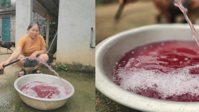 Công bố kết quả kiểm nghiệm hiện tượng nước giếng khoan chuyển sang màu tím đỏ bất thường ở Thanh Hóa