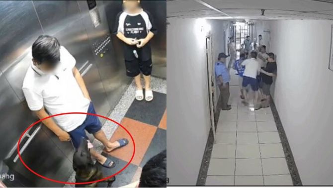 Hà Nội: Nguồn cơn vụ cư dân đấm gục thành viên BQT chung cư khi bị nhắc nhở đeo rọ mõm cho chó