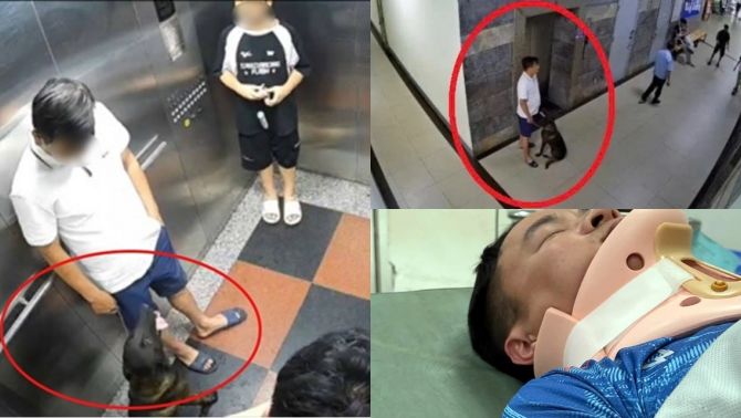 Vụ đánh người trong chung cư vì bị nhắc đeo rọ mõm cho chó: Đã nhiều lần vi phạm, hàng xóm nghe đến là sợ