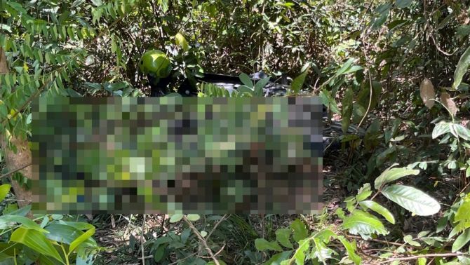 Hiện trường phát hiện thi thể người đàn ông trong rẫy keo sau 10 ngày mất tích, hé lộ nguyên nhân?