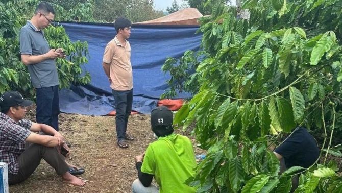 Phát hiện người phụ nữ tử vong trong tư thế nằm sấp ở rẫy cà phê, nghi phạm là người thân cận nhất