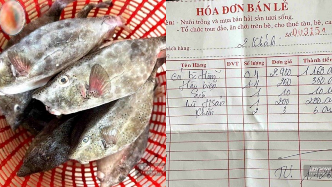 Lý do chủ bè nổi ở Nha Trang bán cá bò hòm 2,9 triệu đồng/kg bị xử phạt hơn 20 triệu đồng