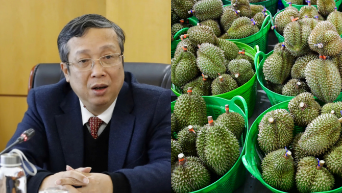 Thứ trưởng cùng loạt cán bộ bị bắt, góc khuất trong cấp mã số vùng trồng sầu riêng được hé mở