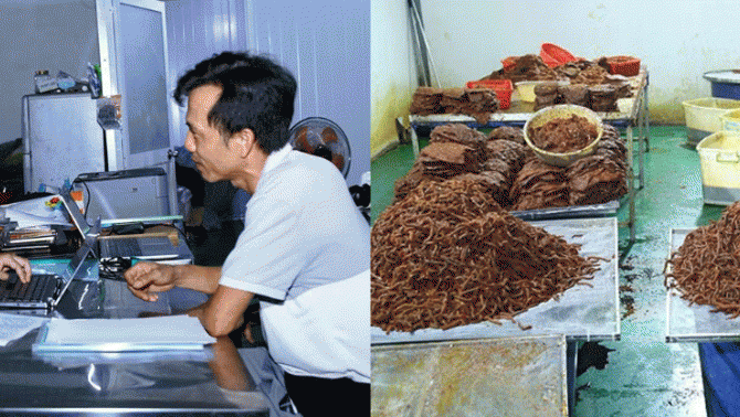 Danh tính chủ mưu đường dây sản xuất, chế biến khoảng 65 tấn khô giả bò? Công bố kết quả điều tra?