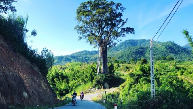Đặc điểm nhận dạng đối tượng sát hại em trai giữa đêm rồi bỏ trốn cùng hung khí ở Nghệ An