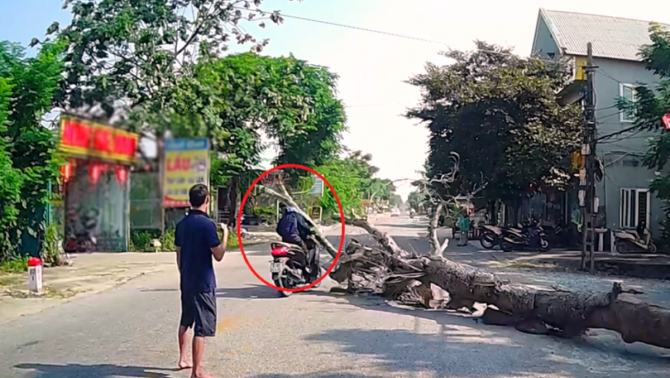 Vụ cưa cây đổ trúng người đi đường tử vong: Gia đình tiết lộ thêm thông tin mới về người cưa cây