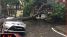 Hà Nội mưa giông lớn, cây đổ đè bẹp xe Toyota Vios
