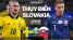 Xem trực tiếp trận Thụy Điển vs Slovakia bảng E lúc 20h00 ngày 18/6 trên kênh VTV6 nhanh nhất