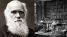 Các nhà nghiên cứu lần đầu tiết lộ về thư viện bị thất lạc của Charles Darwin