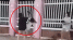 An Giang: Thông tin nóng về các clip nữ sinh bị nhóm bạn dùng nón bảo hiểm vụt liên tiếp vào đầu