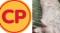 Sở NN & MT tỉnh Sóc Trăng thông tin nóng về ảnh heo bệnh được Công ty C.P trà trộn bán ra thị trường