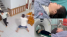 Thông tin gây phẫn nộ vụ chồng đánh vợ nhập viện ở Tuyên Quang, mâu thuẫn xuất phát từ chuyện rất đơn giản