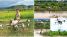 Nghẹt thở clip người đàn ông dùng drone hạng nặng giải cứu 2 bé mắc kẹt giữa dòng nước xiết