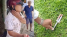 Vụ trấn lột Đồng Nai: Tên cướp lấy cọc tiền xong đâm vào đùi tài xế ô tô, tấn công cả người truy bắt