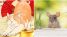 Từ 8/10, 4 con giáp sau sẽ gặp nhiều may mắn, sự nghiệp thăng tiến, liên tục có nhiều sự kiện vui vẻ