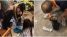 Clip nhóm người tranh giành các túi tiền giữa khu đô thị cao cấp ở Hà Nội, rộ tin đồn về nguồn gốc số tiền