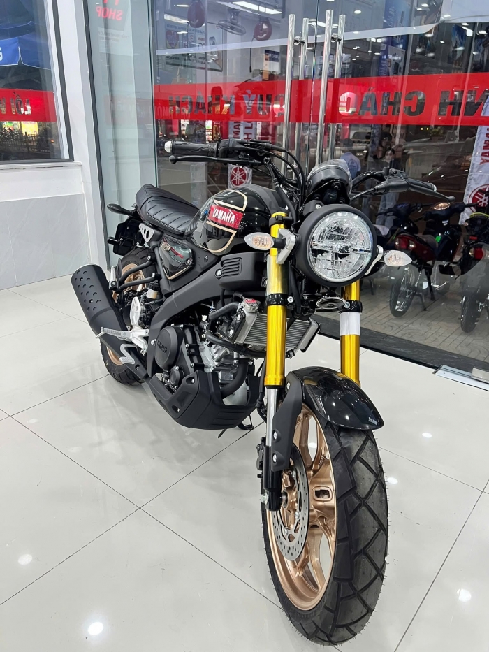 Yamaha-XS155R-8