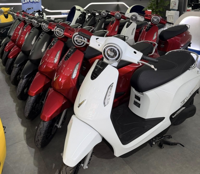 gia-xe-vinfast-evo-grand-1