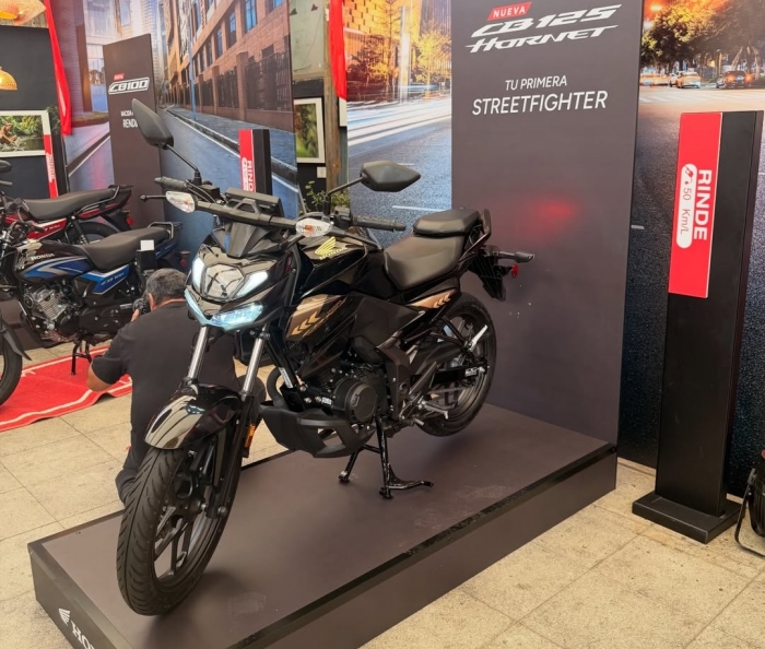 Honda-CB125-Hornet (2)