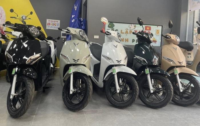 gia-xe-vinfast-evo-grand-6