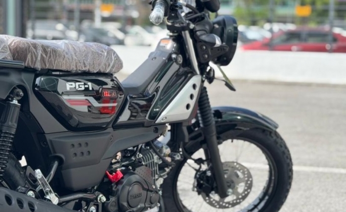 Yamaha-PG-1-8