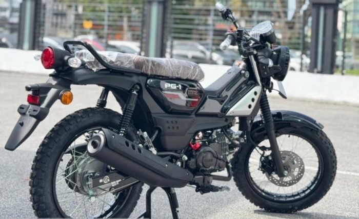 Yamaha-PG-1