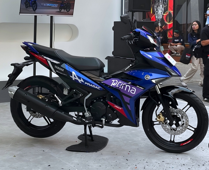 Yamaha-MX-King-9