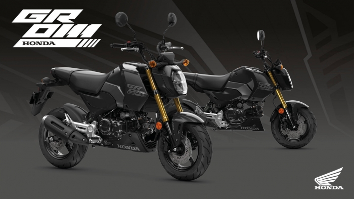 Honda-MSX-GROM-1