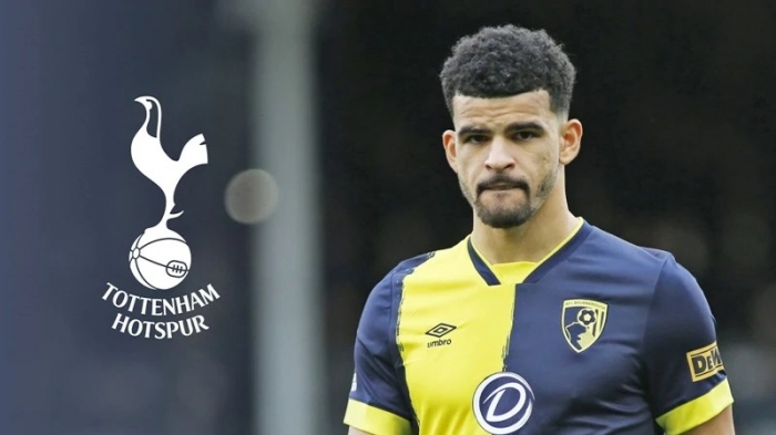 Tottenham mua Solanke