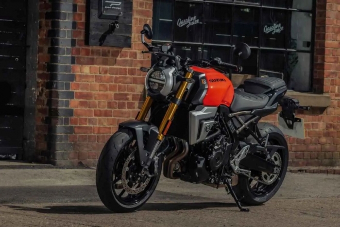suzuki_cruise_control_v-strom_800_gsx-8_2