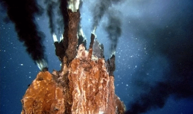 He-lo-thong-tin-it-ai-biet-ve-to-tien-duy-nhat-cua-moi-loai-xuat-hien-tu-4-2-ti-nam-truoc-3