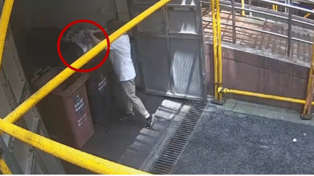 Me-hoang-hot-khi-con-gai-vut-nham-chiec-hop-cu-ben-trong-chua-trang-suc-va-vang-tri-gia-gan-2-ty-1