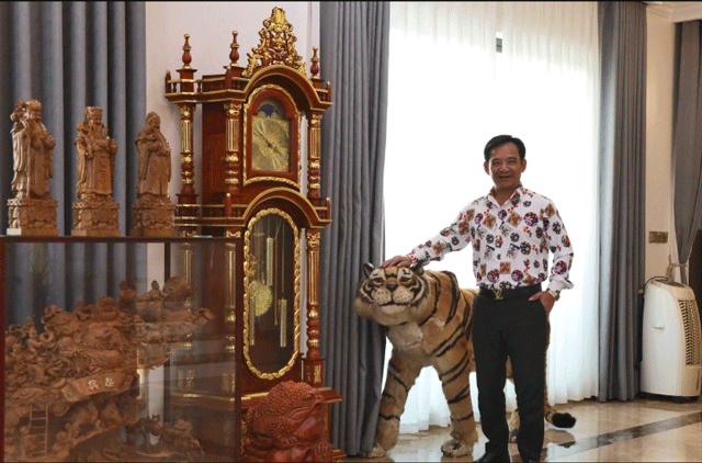 Can-canh-biet-thu-be-the-rong-1000m2-cua-nsut-quang-teo-co-san-vuon-nhu-cong-vien-thu-nho-4