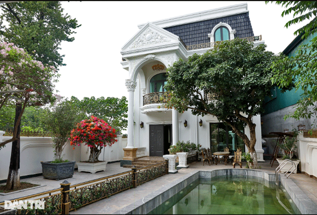 Can-canh-biet-thu-be-the-rong-1000m2-cua-nsut-quang-teo-co-san-vuon-nhu-cong-vien-thu-nho-8