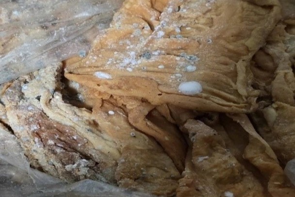 cong-an-tinh-quang-ninh-phat-hien-1-8-tan-long-lon-bi-moc-trang-da-qua-so-che-cua-mot-ho-dan-1