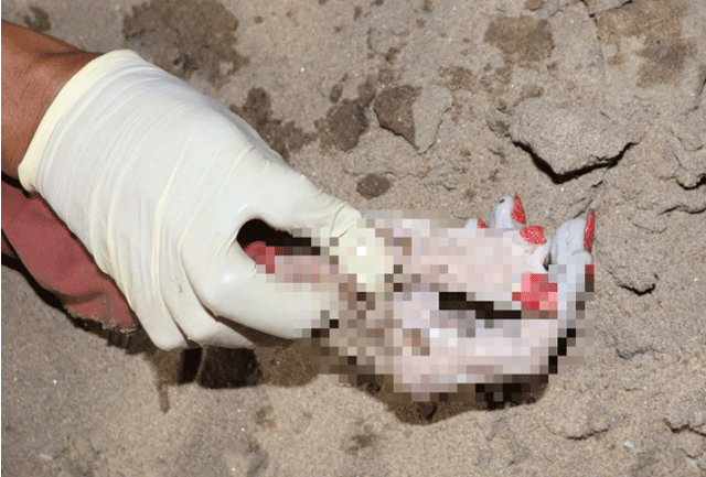 Cong-an-tim-nguoi-than-thi-the-mot-phu-nu-troi-tren-song-sai-gon-co-6-ngon-tay-son-mong-chan-do