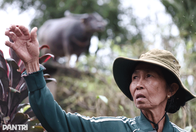 Xuc-dong-canh-chu-trau-mac-ket-gan-1-tuan-tren-mai-nha-biet-trau-con-song-toi-mung-roi-nuoc-mat