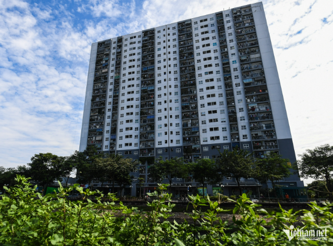 Co-quan-duy-nhat-duoc-quyen-xac-nhan-thunhap-de-lam-ho-so-mua-nha-o-xa-hoi-cho-lao-dong-tu-do