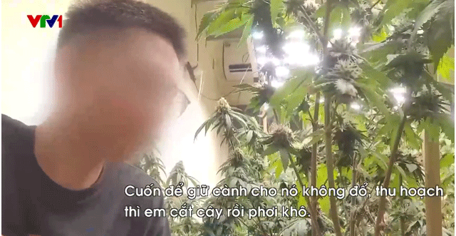 Che-bien-can-sa-giua-thu-do-3